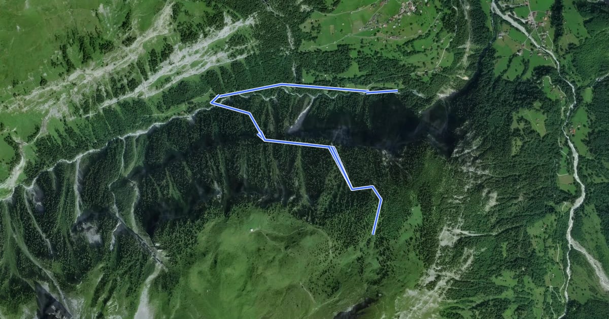 Маршрут Wasserbrücke - Untere Busenalp на спутниковом снимке