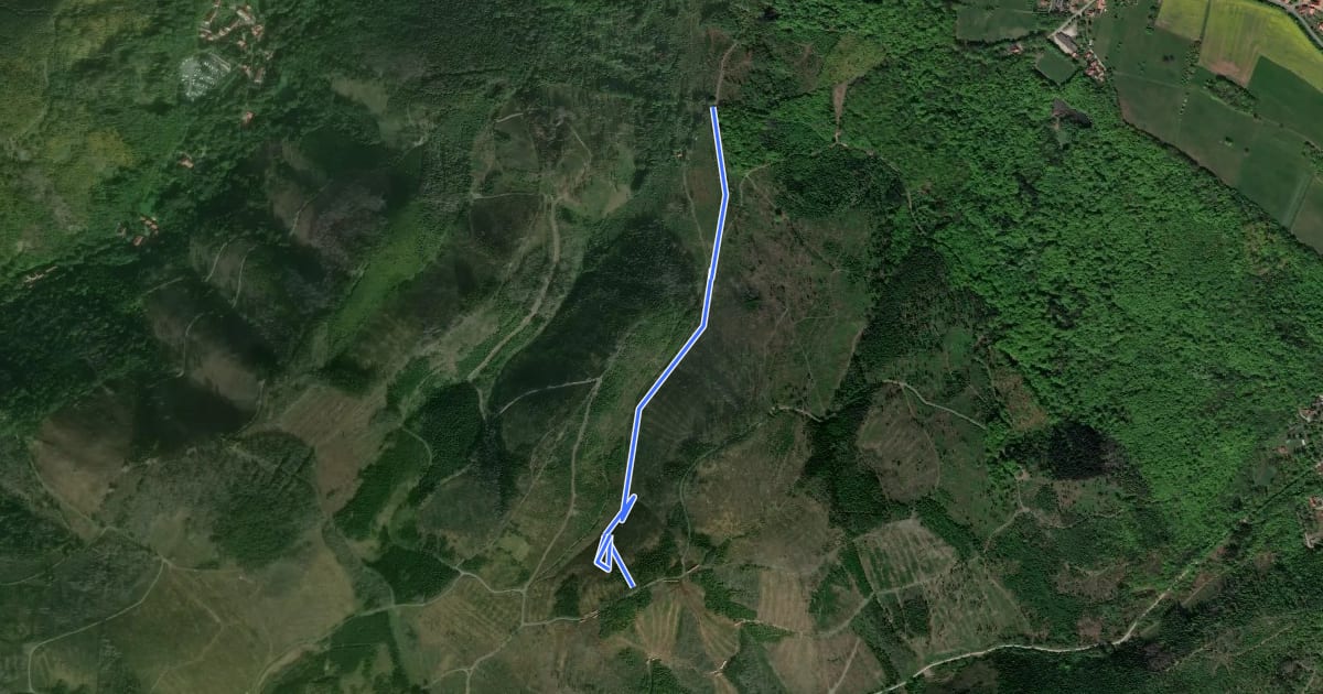 Маршрут Wassertal на спутниковом снимке