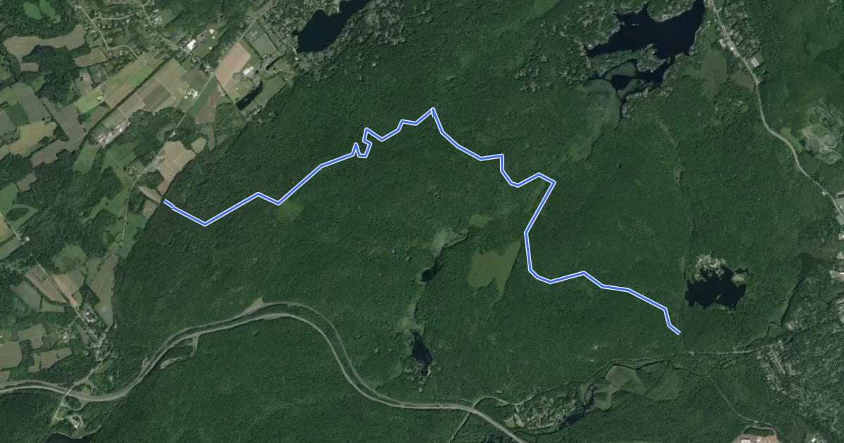 Маршрут Waterloo-517 Trail на спутниковом снимке