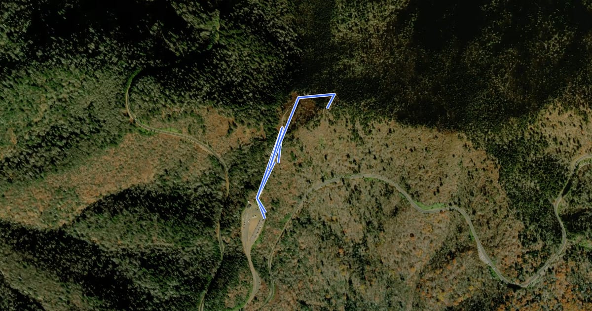 Маршрут Waterrock Knob Trail на спутниковом снимке