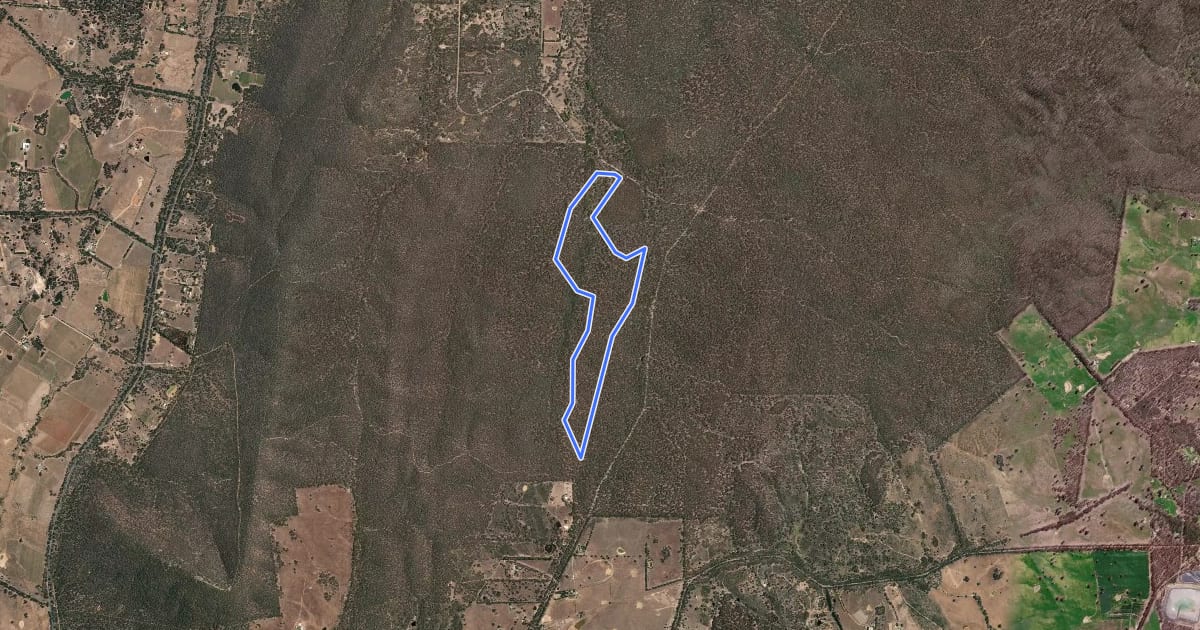Маршрут Wattle Gully Walk на спутниковом снимке