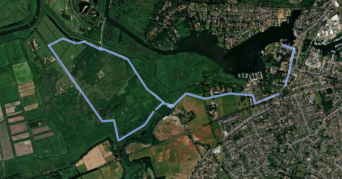 Маршрут Waveney Valley Walks - Carlton Marshes на спутниковом снимке