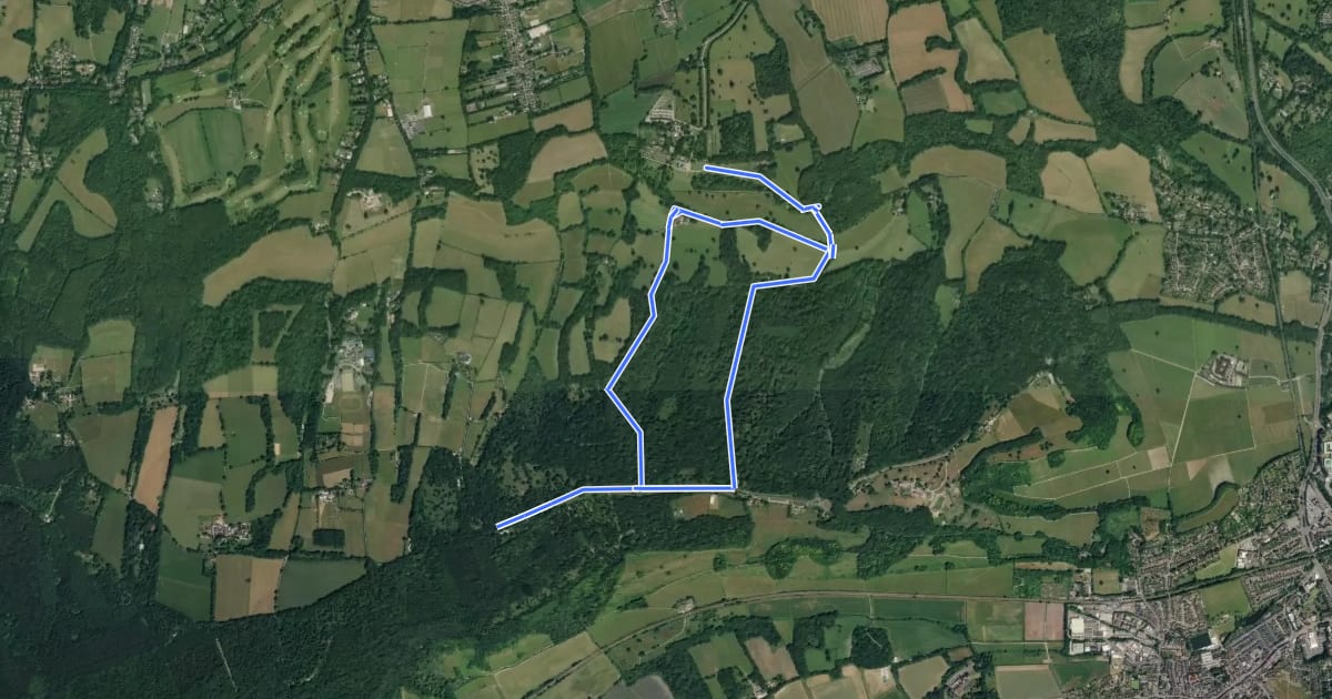 Маршрут Waymarked Walk at Ranmore Common, North Downs West на спутниковом снимке