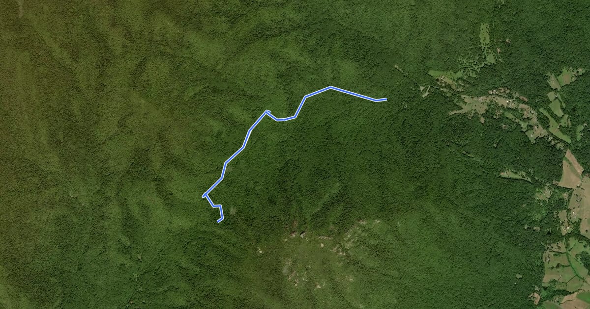 Маршрут Weakley Hollow Fire Road на спутниковом снимке