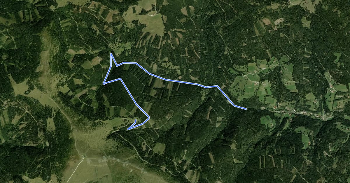Маршрут Wechselgraben Route на спутниковом снимке