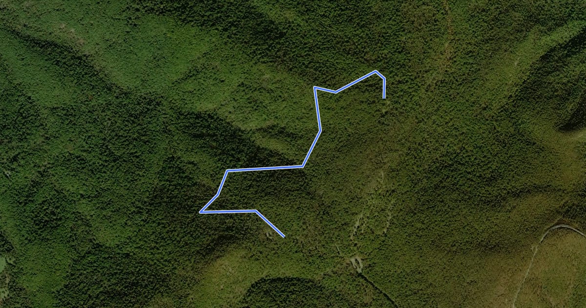 Маршрут Weddlewood Trail на спутниковом снимке