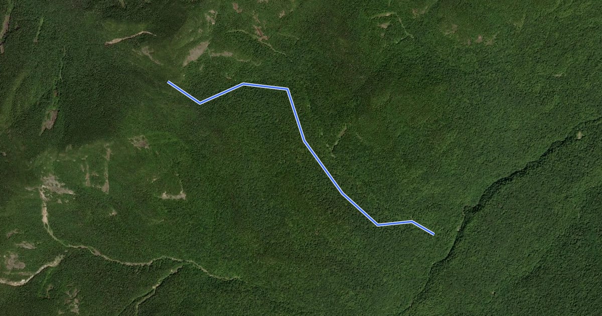 Маршрут Wedge Brook Trail на спутниковом снимке