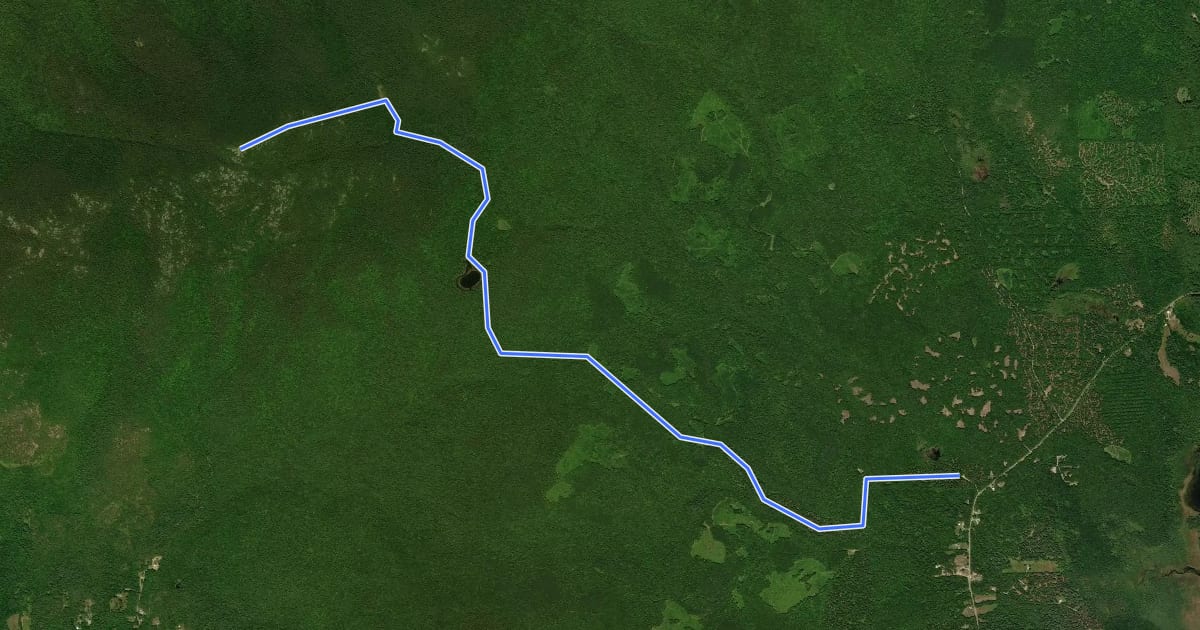 Маршрут Weeks Brook Trail на спутниковом снимке