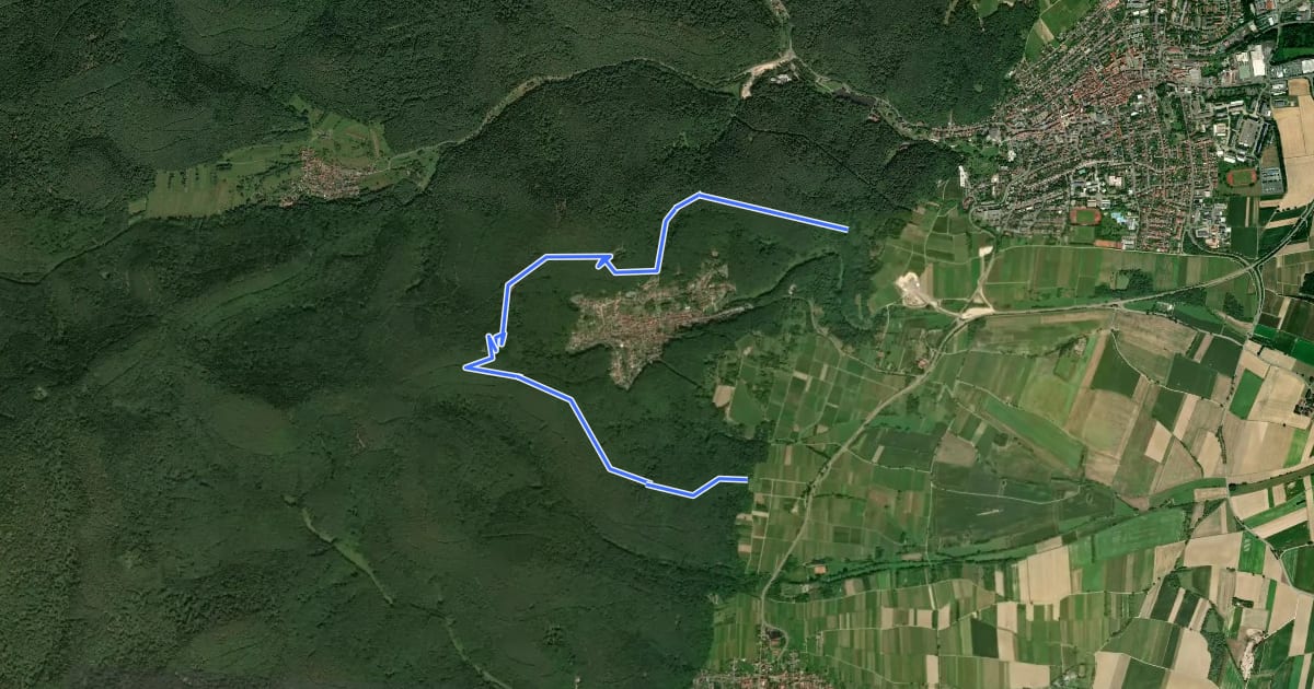 Маршрут Weg der Aussichten, Dörrenbach на спутниковом снимке
