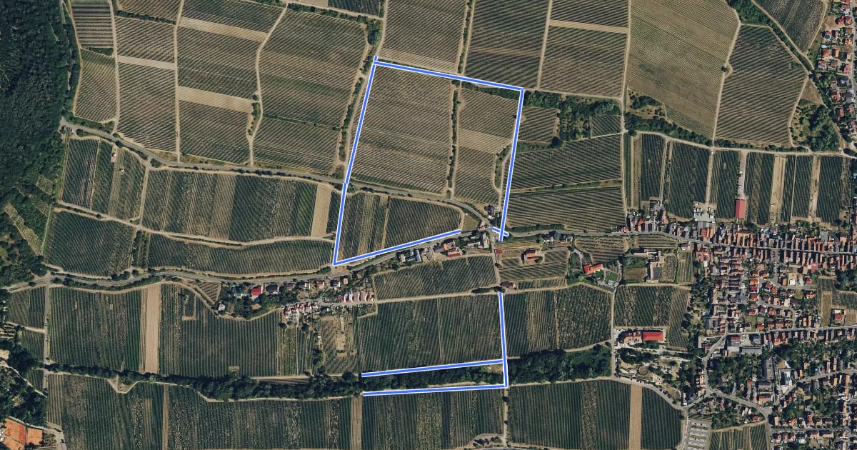 Маршрут Weg der Gedichte на спутниковом снимке