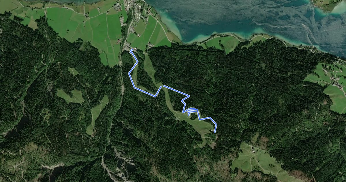 Маршрут Weißensee Trail на спутниковом снимке