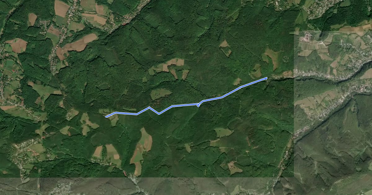 Маршрут Weidling/Rotgraben – Windischhütte на спутниковом снимке