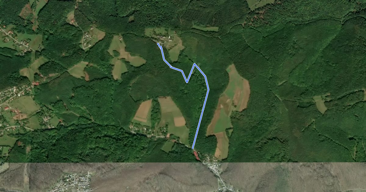 Маршрут Weidlingbach/Fuchsgraben - Windischhütte на спутниковом снимке