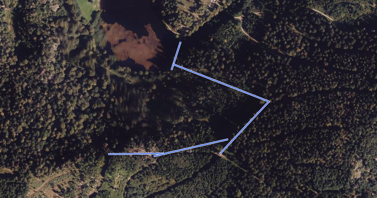 Маршрут Weiherfelsen - Nonnenmattweiher на спутниковом снимке