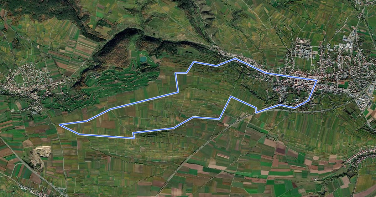 Маршрут Wein-Radtour на спутниковом снимке