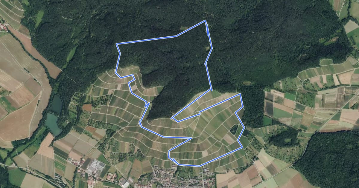Маршрут Wein- und Kloster-Rundweg на спутниковом снимке