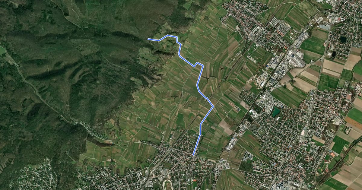 Маршрут Weinberg Route на спутниковом снимке