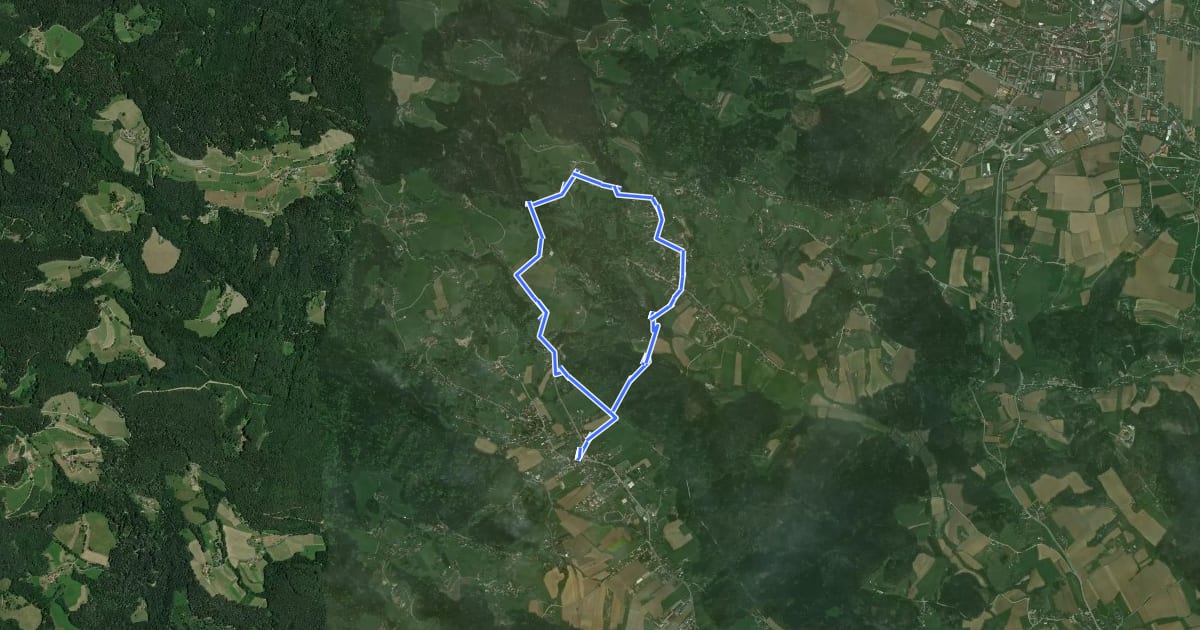 Маршрут Weinberg-Rundweg на спутниковом снимке