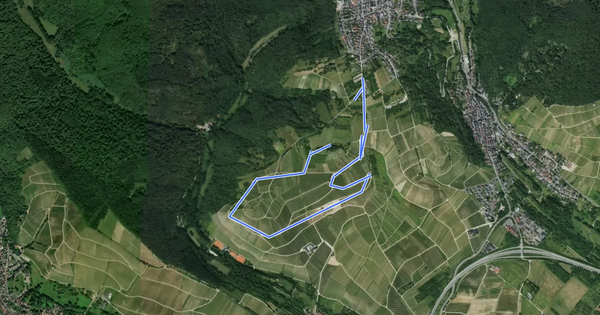Маршрут Weinbergsweg на спутниковом снимке