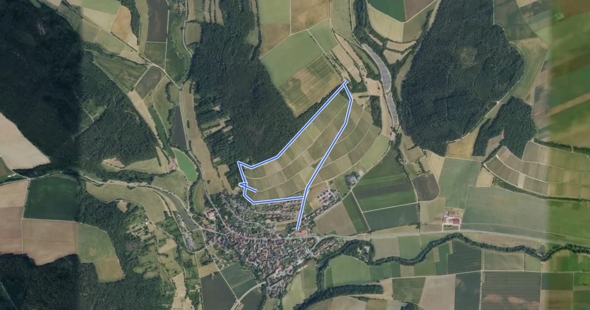 Маршрут Weinbergweg на спутниковом снимке