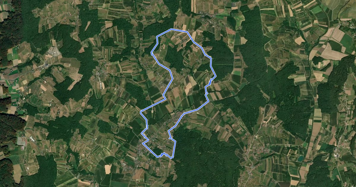 Маршрут Weinbergweg на спутниковом снимке