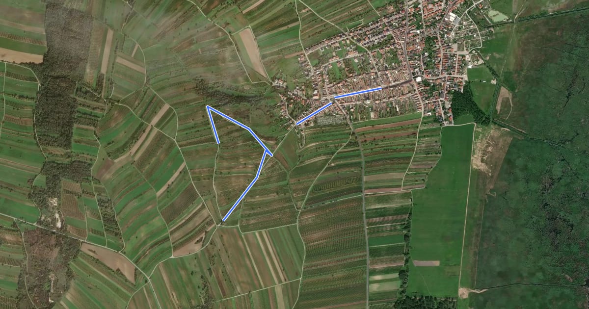 Маршрут Weindwanderweg на спутниковом снимке
