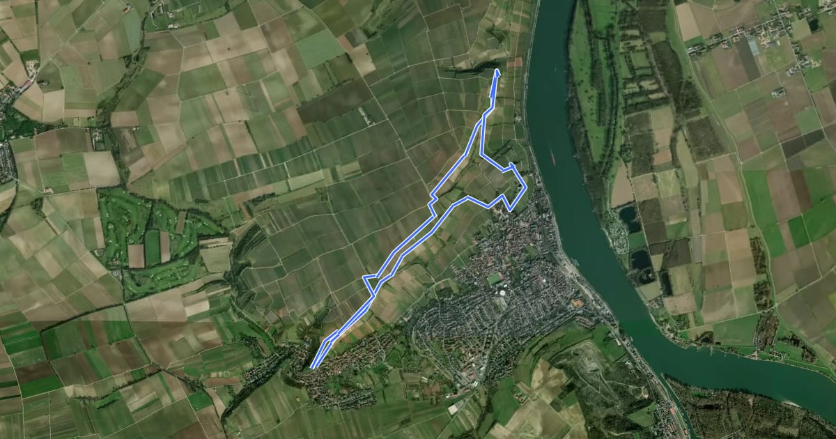 Маршрут Weinerlebnis Roter Hang - Wandern zwischen Himmel und Rhein на спутниковом снимке