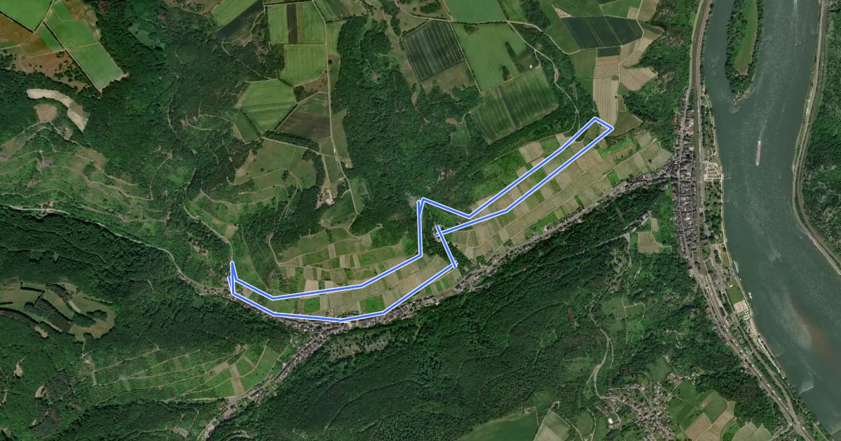 Маршрут Weinlagenweg на спутниковом снимке