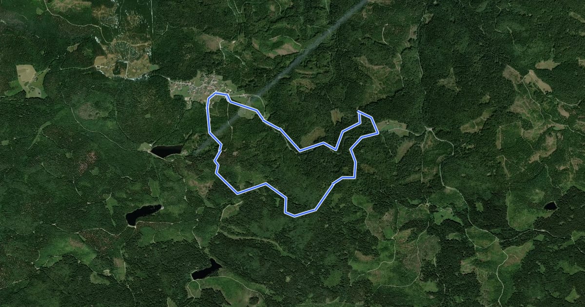 Маршрут Weinsbergweg на спутниковом снимке