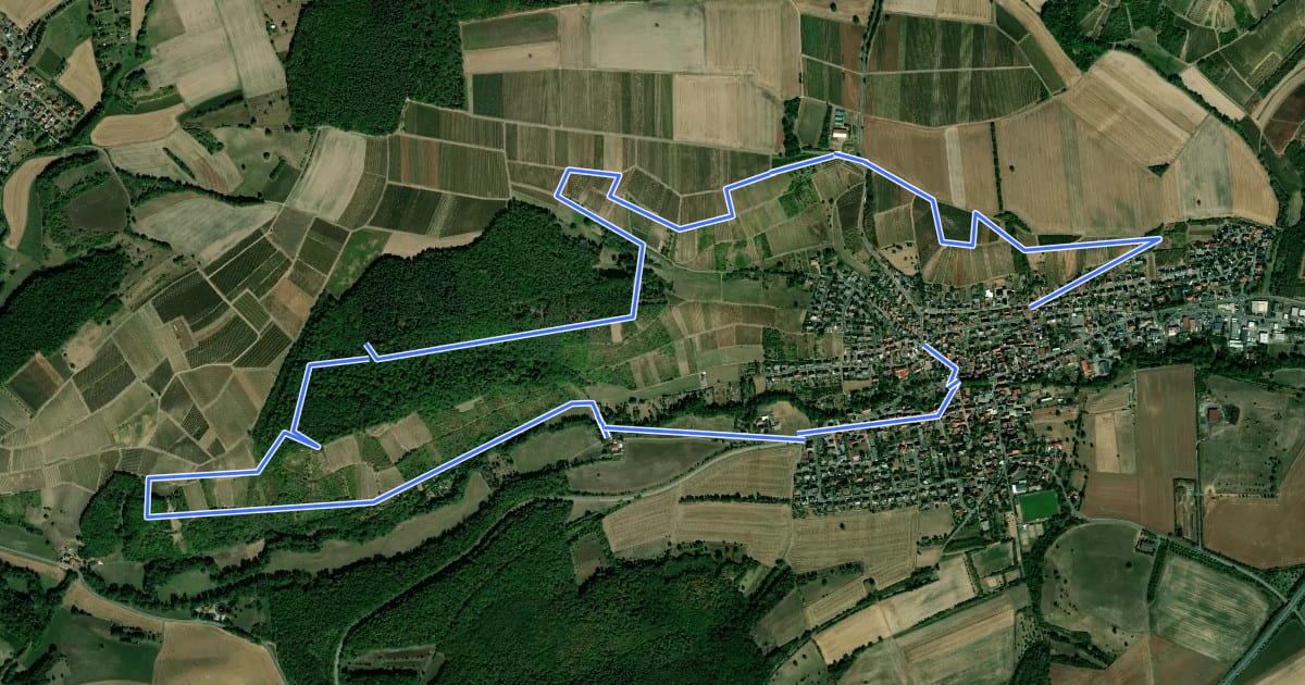 Маршрут Weinsheimer Wingertsweg на спутниковом снимке