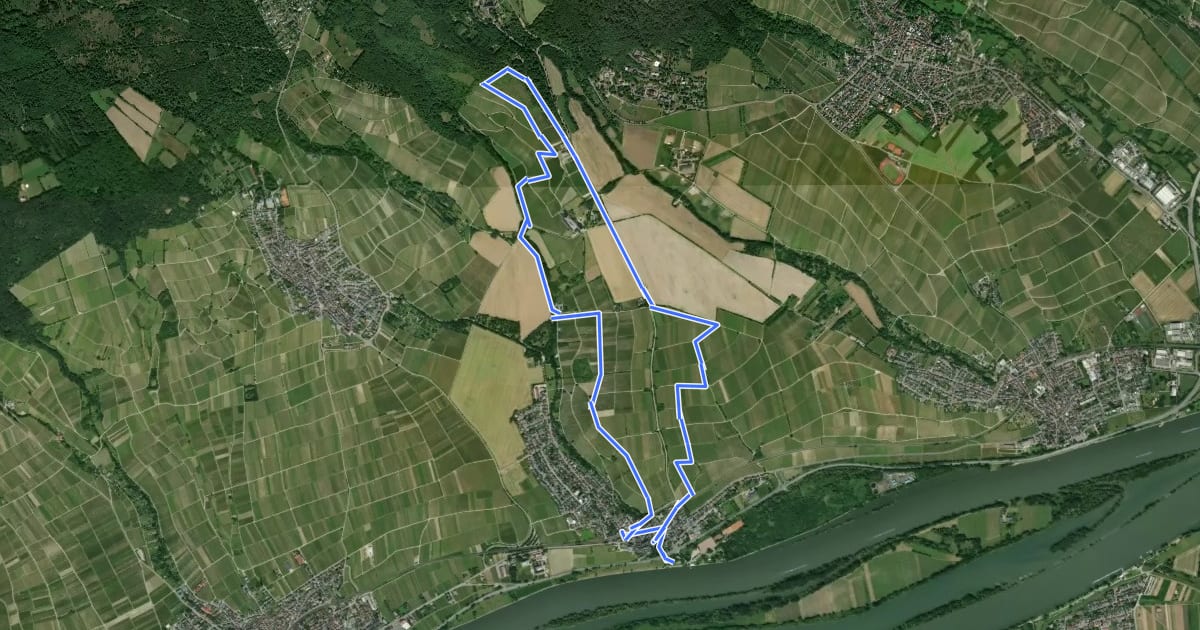 Маршрут Weinwanderweg Hattenheim на спутниковом снимке