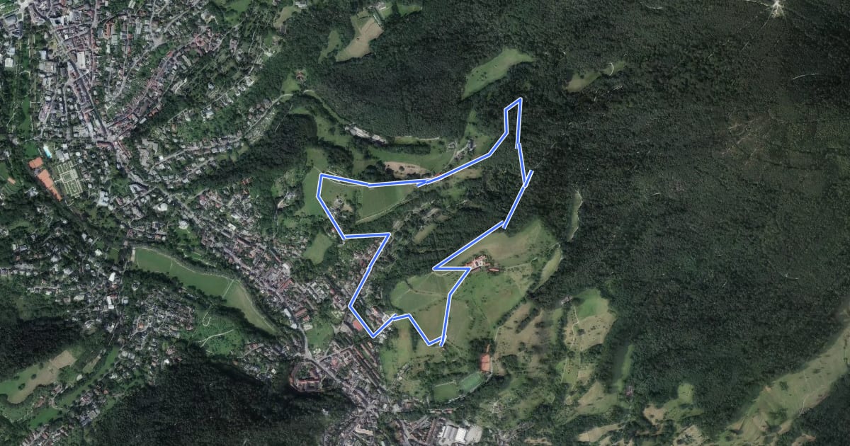 Маршрут Weinweg Eckberg/Schafberg на спутниковом снимке