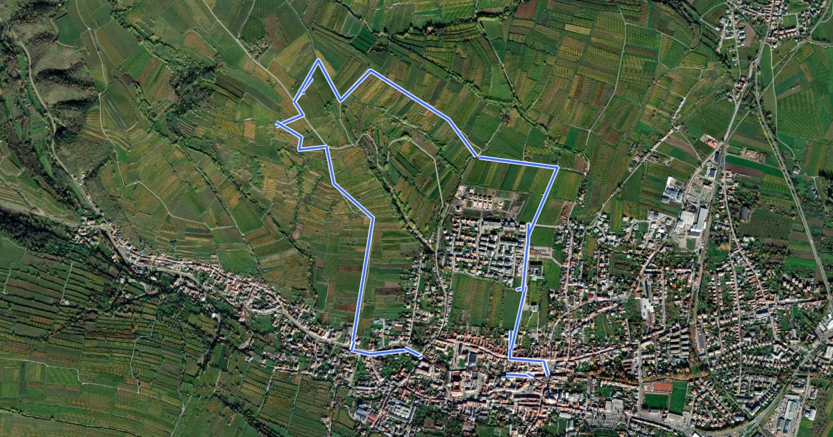 Маршрут Weinweg Langenlois на спутниковом снимке