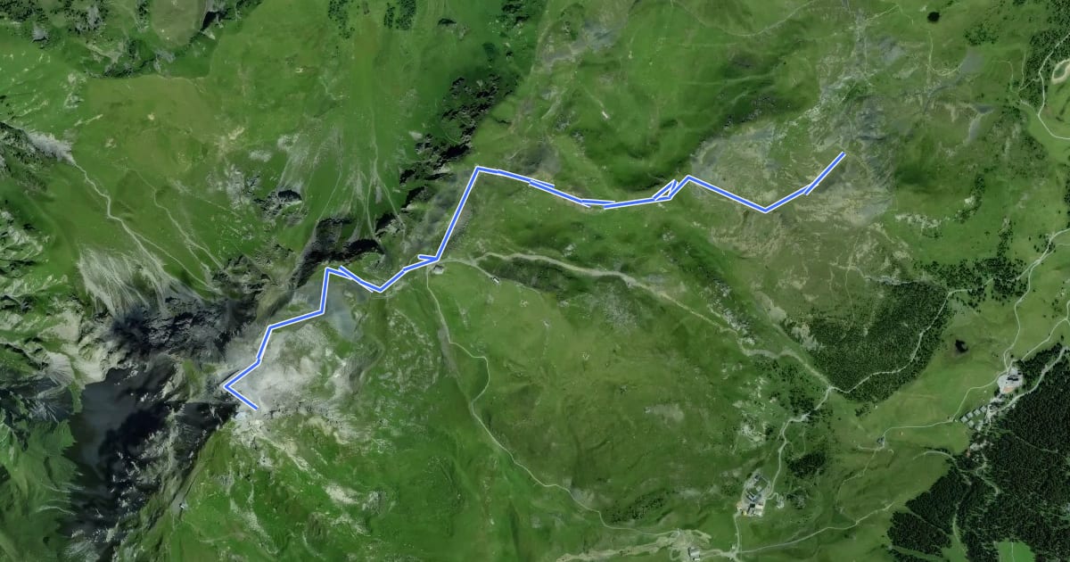 Маршрут Weisshorn Trail на спутниковом снимке