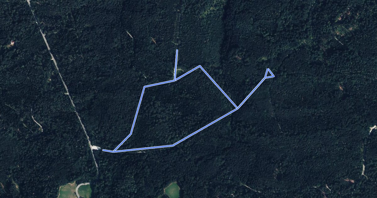 Маршрут WeiterWeg (Kinderwagenroute) на спутниковом снимке