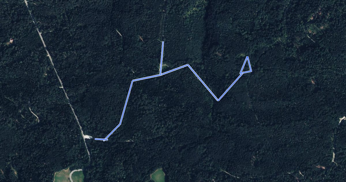 Маршрут WeiterWeg (Weg für Menschen mit Einschränkungen) на спутниковом снимке
