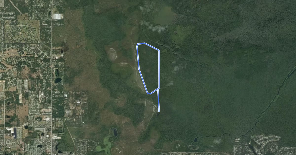 Маршрут Wekiwa Mill Creek Loop на спутниковом снимке