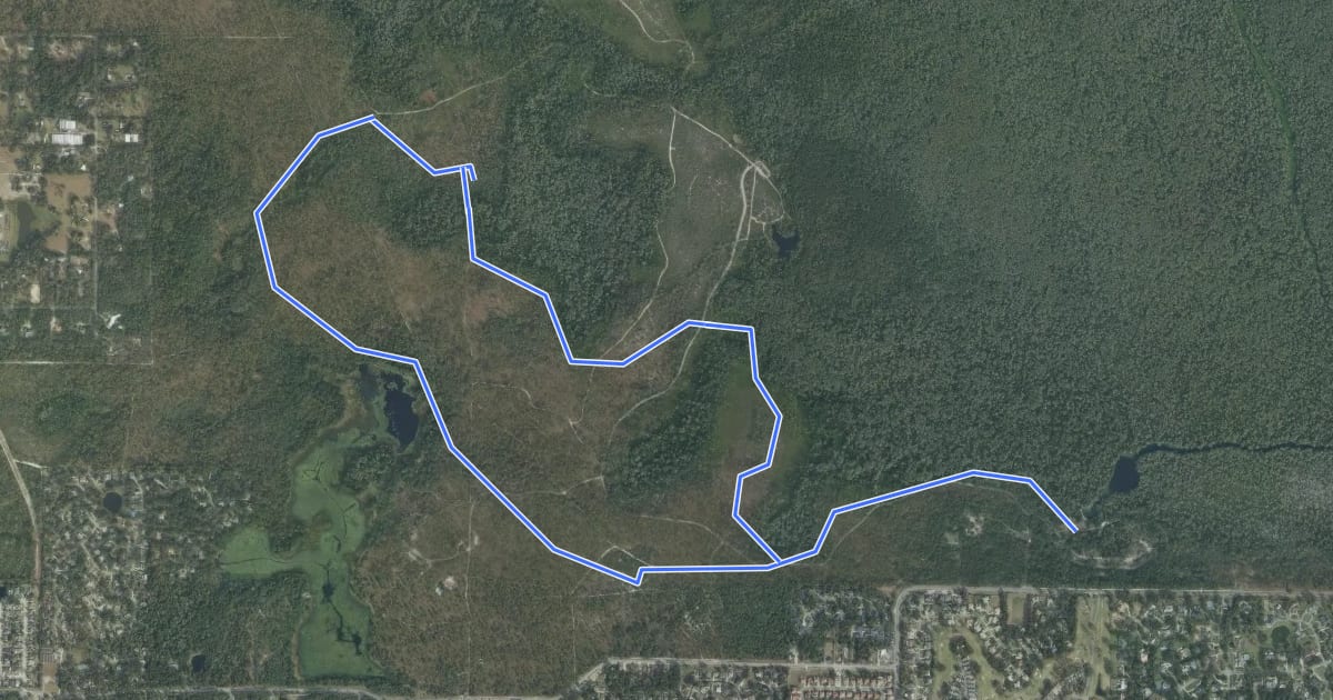 Маршрут Wekiwa Volksmarch Trail на спутниковом снимке