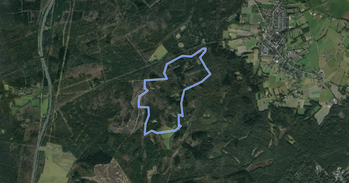 Маршрут Welkom op de Loenermark! Blauwe route на спутниковом снимке