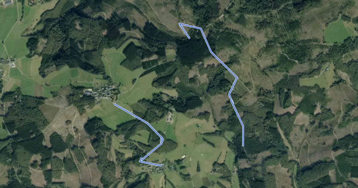 Маршрут Wellin Rundweg T на спутниковом снимке