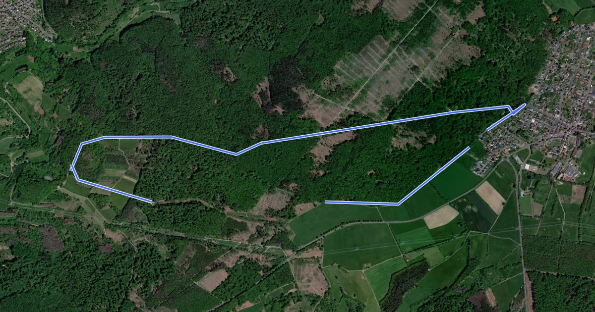 Маршрут Welschneudorfer Rundwanderweg W2 на спутниковом снимке