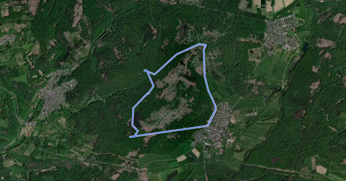 Маршрут Welschneudorfer Rundwanderweg W4 на спутниковом снимке