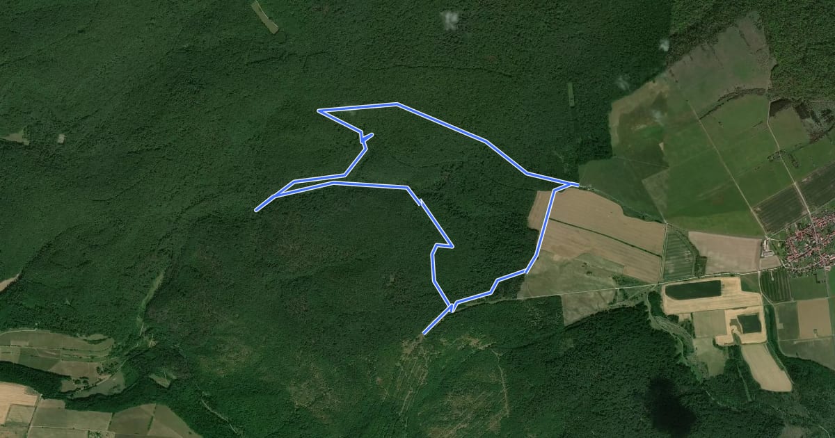 Маршрут Welterbepfad на спутниковом снимке