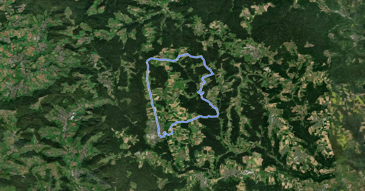 Маршрут Welzheimer Wald на спутниковом снимке