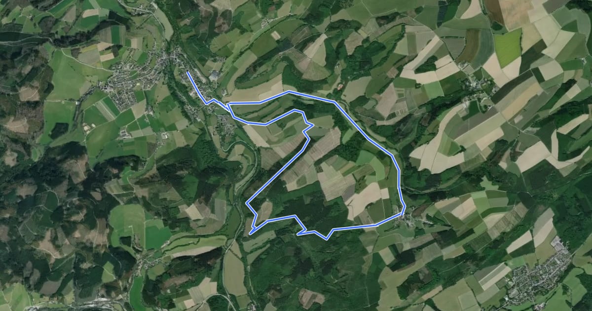 Маршрут Wenholthausen Rundweg W2 на спутниковом снимке