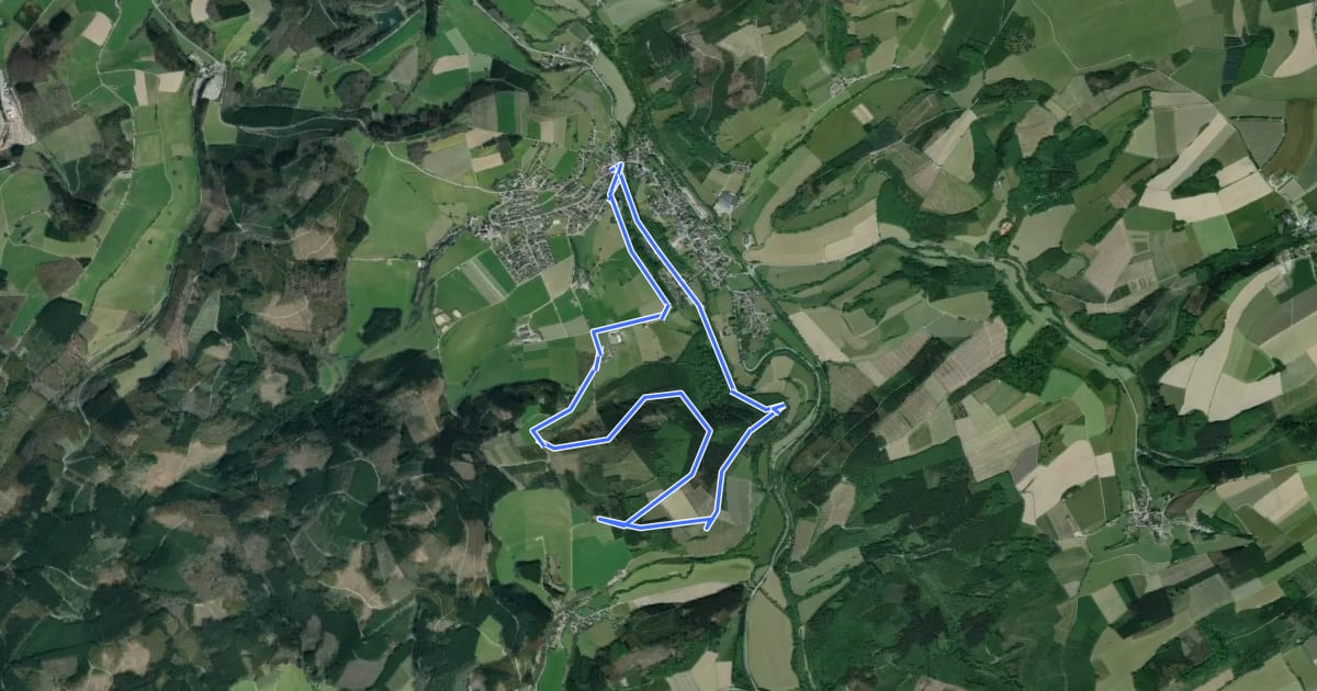 Маршрут Wenholthausen Wanderweg W7 на спутниковом снимке