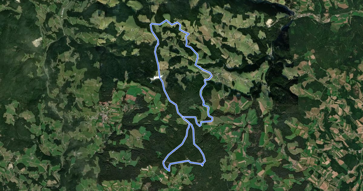 Маршрут Wenigzeller Wildwiesenrunde на спутниковом снимке
