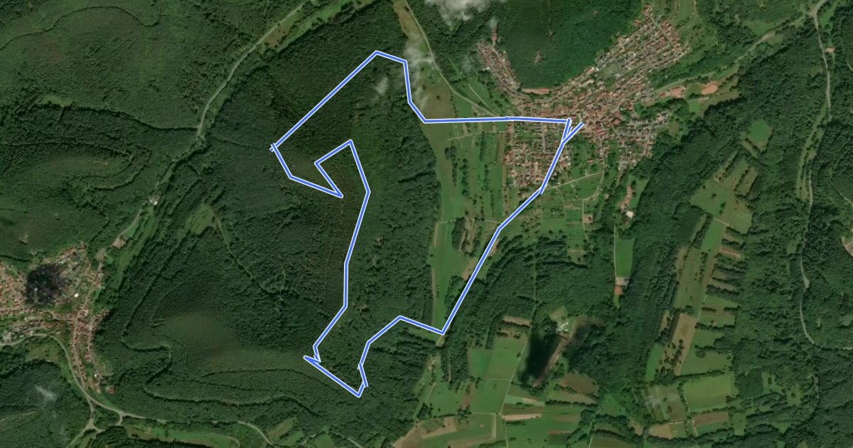 Маршрут Wernersberg 36 на спутниковом снимке