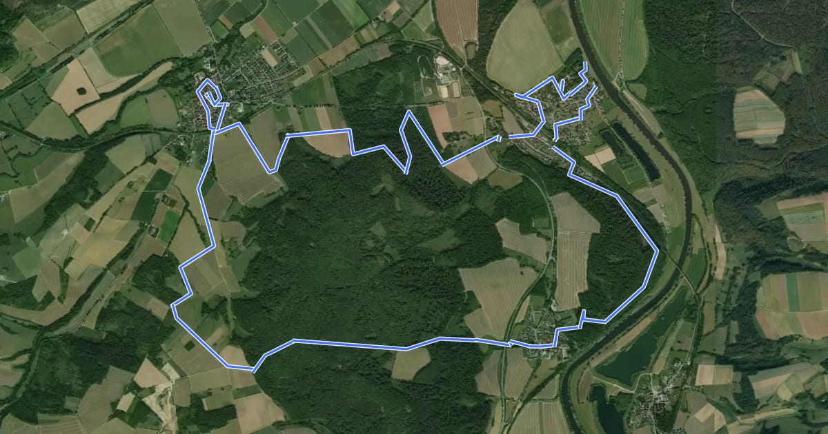 Маршрут Weserhöhen-Wanderung "Rund um den Wildberg" на спутниковом снимке