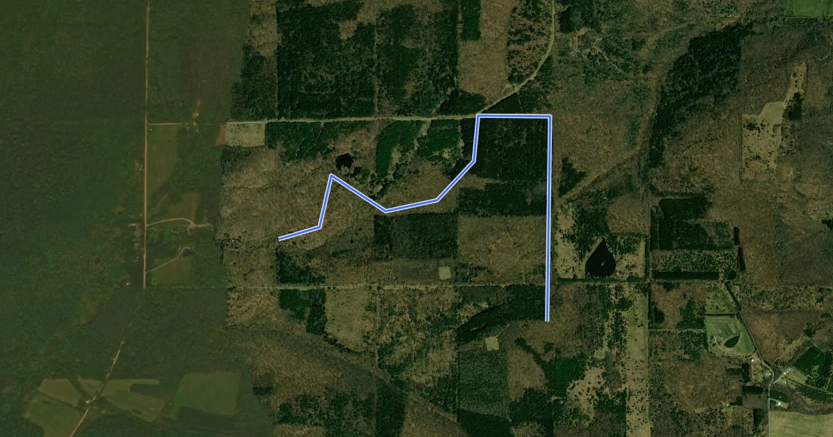 Маршрут West Almond - 4Y на спутниковом снимке